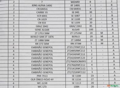 Imagem BOTIJÃO GENÉTICA SENEPOL DA GRAMA Imagem BOTIJÃO GENÉTICA SENEPOL DA GRAMA