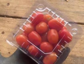 Vendo tomate grepe o ano todo