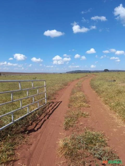 Propriedade Rural, a 7 km da cidade de Paráuna GO