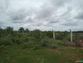 Arrendamento de 160 hectares de terras ferteis as margens da BR 116