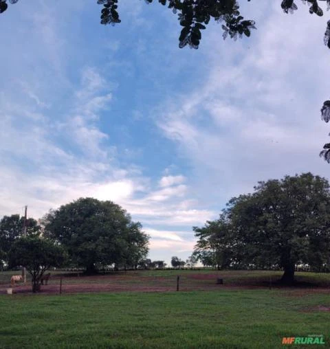 Fazenda em Minas Gerais. Triângulo mineiro.