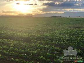 FAZENDA 1.401 HA MUNICÍPIO DE NOSSA SENHORA DO LIVRAMENTO MT