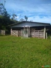 FAZENDA COM 84 HECTARES EM SÃO  JOÃO BATISTA - SC