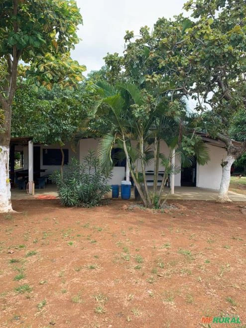 Sitio com 4,85 hectare em Santo Antônio do Desconhecido - GO