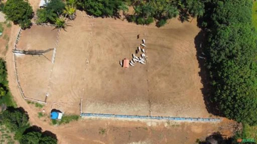 Sitio com 4,85 hectare em Santo Antônio do Desconhecido - GO