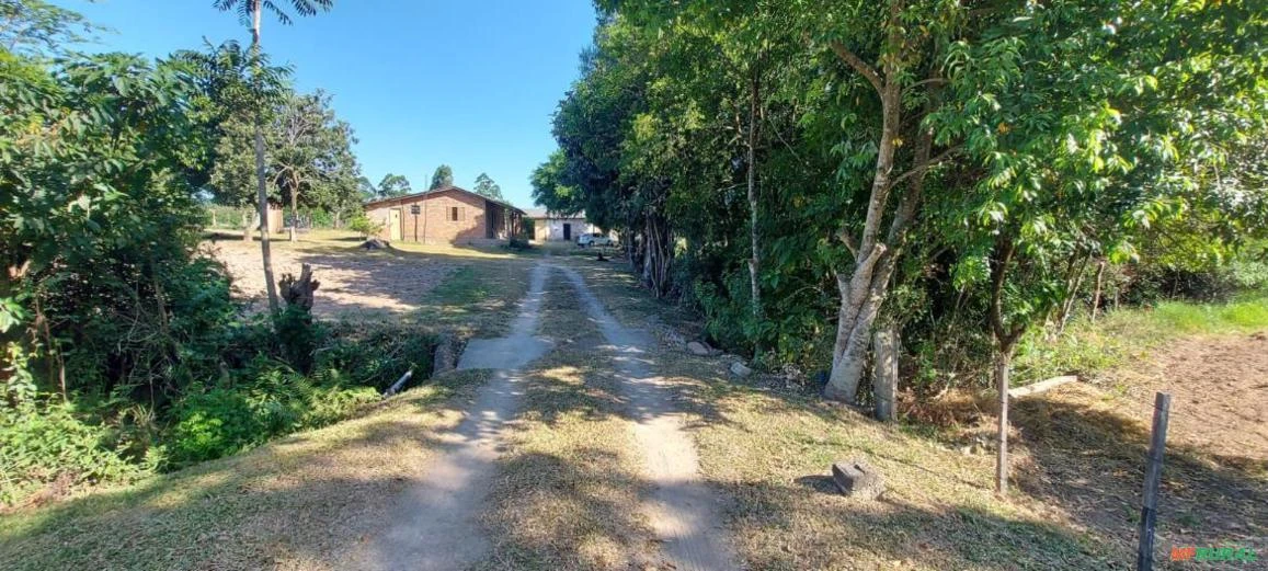 Sitio com 27 hectares escriturado - ideal para criação de animais