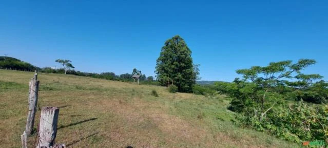 Sitio com 27 hectares escriturado - ideal para criação de animais