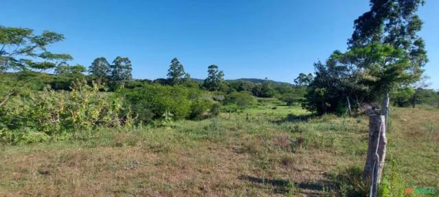 Sitio com 27 hectares escriturado - ideal para criação de animais