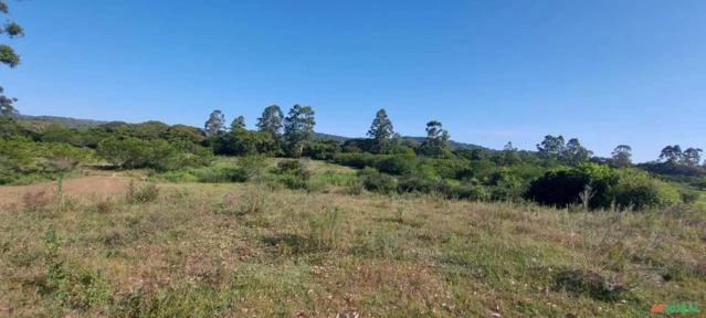 Sitio com 27 hectares escriturado - ideal para criação de animais