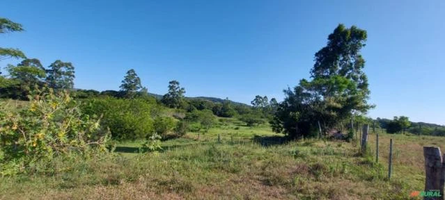 Sitio com 27 hectares escriturado - ideal para criação de animais