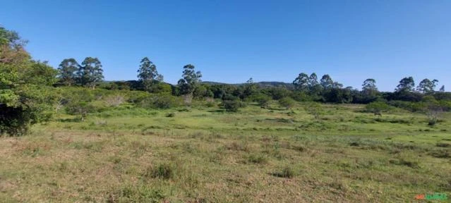 Sitio com 27 hectares escriturado - ideal para criação de animais