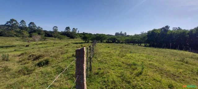 Sitio com 27 hectares escriturado - ideal para criação de animais