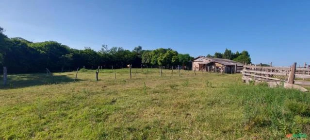 Sitio com 27 hectares escriturado - ideal para criação de animais