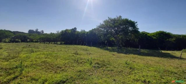 Sitio com 27 hectares escriturado - ideal para criação de animais