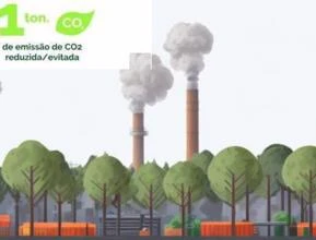 Crédito de Carbono e Compensação Ambiental
