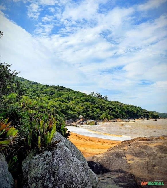 Fazenda com 300 mil m2 com Praia Privativa  em Porto Belo -SC