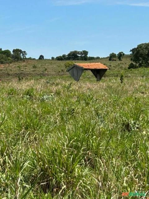 Fazenda no Alto Araguaia