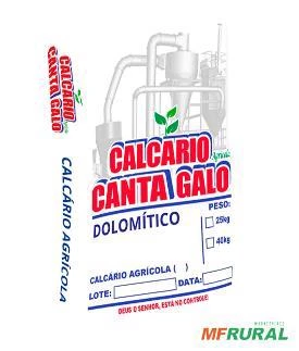 Calcario canta galo