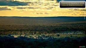 Fazenda com 100 Hc ara Compensação Ambiental em Niquelândia - GO