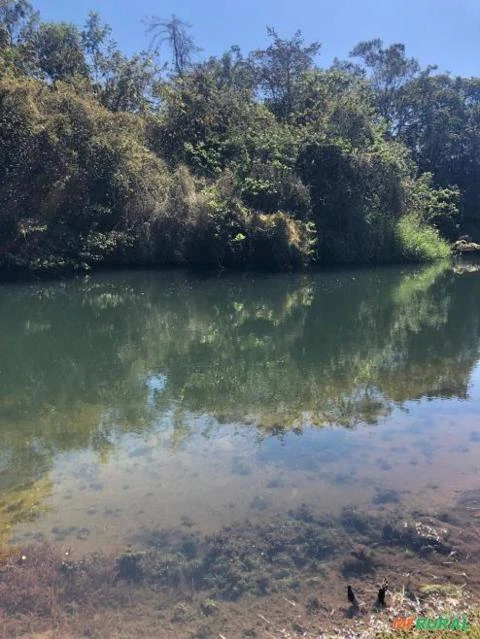 Fazenda com 514 HC em Januária Norte de Minas