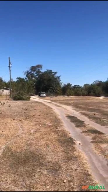 Fazenda com 514 HC em Januária Norte de Minas