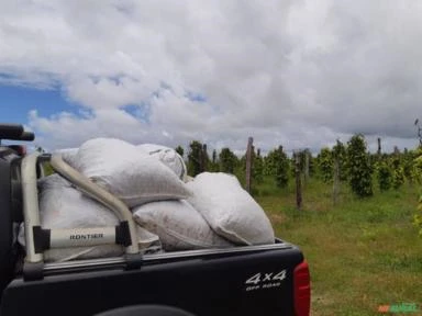 FAZENDA COM 200 Hc em Porto Seguro - BA