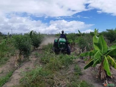 FAZENDA COM 200 Hc em Porto Seguro - BA