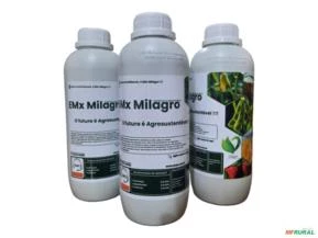 Biofertilizante Liquido Emx Milagro 100% Organico 1l