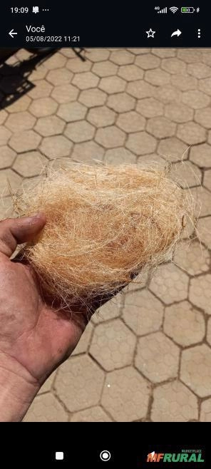 Imagem Substrato de Coco 30 Kg Imagem Substrato de Coco 30 Kg