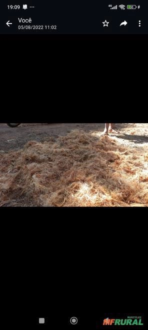 Imagem Substrato de Coco 30 Kg Imagem Substrato de Coco 30 Kg