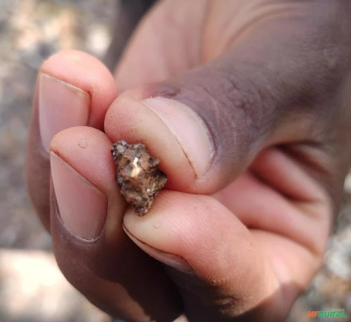 Jazida de ouro Imagem Jazida de ouro