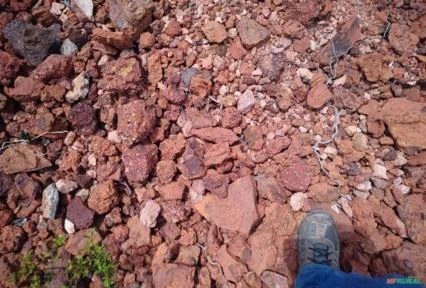 Imagem Jazida de ouro Imagem Jazida de ouro