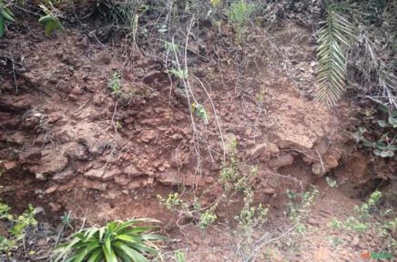 Imagem Jazida de ouro Imagem Jazida de ouro