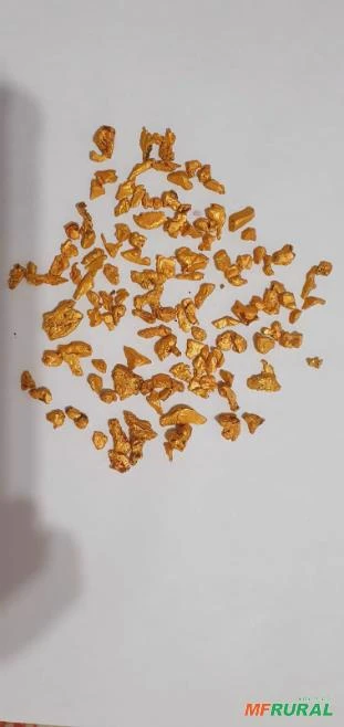 Imagem Jazida de ouro Imagem Jazida de ouro