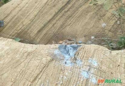 Jazida de calcário Imagem Jazida de calcário