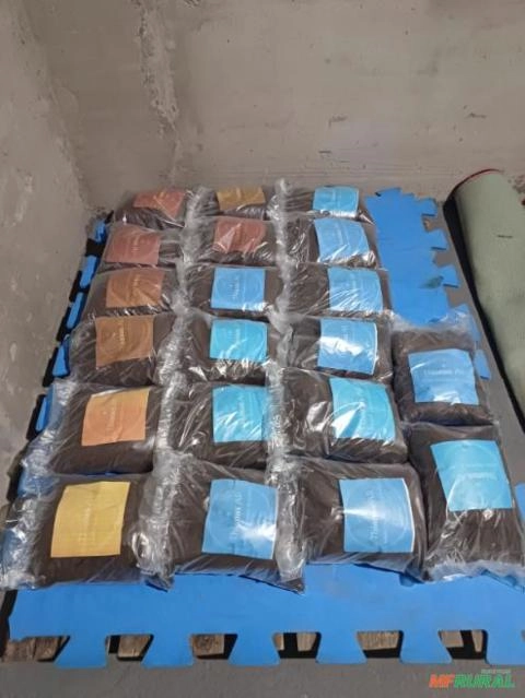 Imagem Adubo orgânico Imagem Adubo orgânico