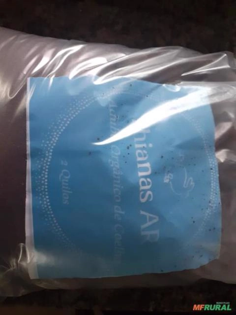 Imagem Adubo orgânico Imagem Adubo orgânico