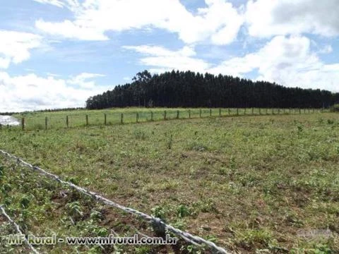 Vendo sitio com 88.000m2 (8,8 ha) em Salto-SP (próximo a Itu).