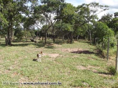 Vendo sitio com 88.000m2 (8,8 ha) em Salto-SP (próximo a Itu).