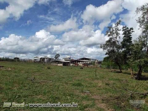 Vendo sitio com 88.000m2 (8,8 ha) em Salto-SP (próximo a Itu).