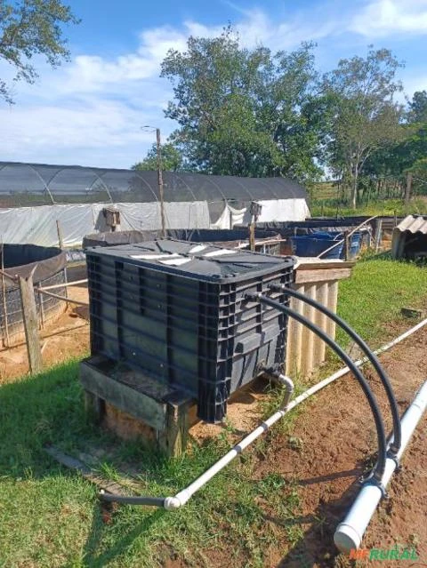 Tanque para piscicultura com 30 M³