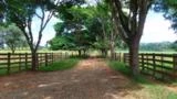 Fazenda de 92 hectares em Tatuí-SP
