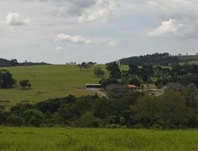 Fazenda Leiteira com 51 Ha em Itapetininga - SP