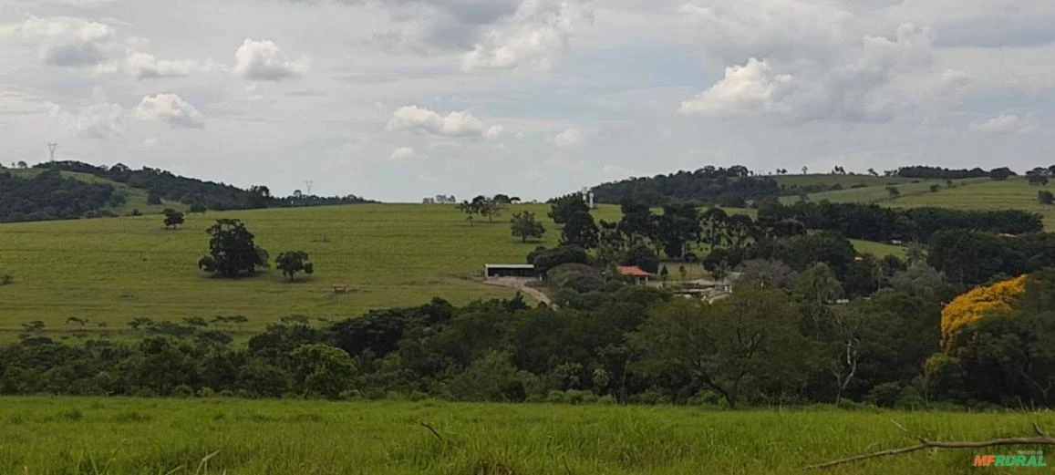 Fazenda Leiteira com 51 Ha em Itapetininga - SP