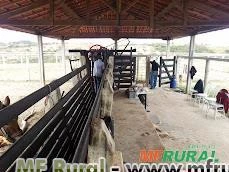 Arrendamento Fazenda para Pecuária e Agricultura em MG