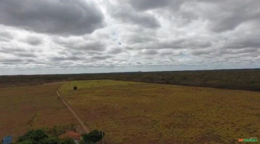 Fazenda 680 hectares - Região de Queimada Nova no Piauí