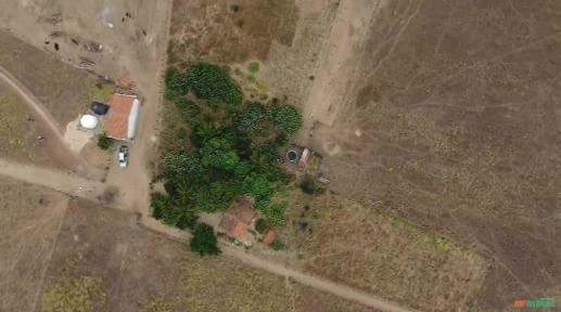 Fazenda 680 hectares - Região de Queimada Nova no Piauí
