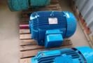 Motor elétrico Voges 30CV 6P 1180rpm Imagem Motor elétrico Voges 30CV 6P 1180rpm