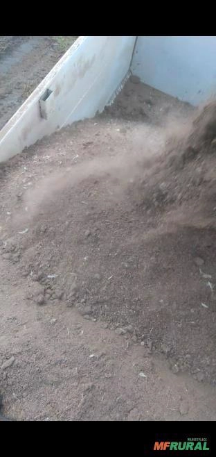 Pó de Serra de Pinus, Eucalipto e Composto Orgânico e Esterco de Granja. Imagem Pó de Serra de Pinus, Eucalipto e Composto Orgânico e Esterco de Granja.