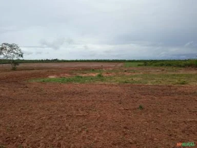 Arrendo Fazenda com 190 hectares em Jaguaruana - CE   PARA GERAÇÃO DE ENERGIA FOTOVOLTAICA
